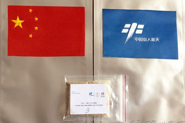 祝賀神舟十一號(hào)載人飛船發(fā)射成功!瀘州老窖的窖泥和酒曲也跟著上太空啦